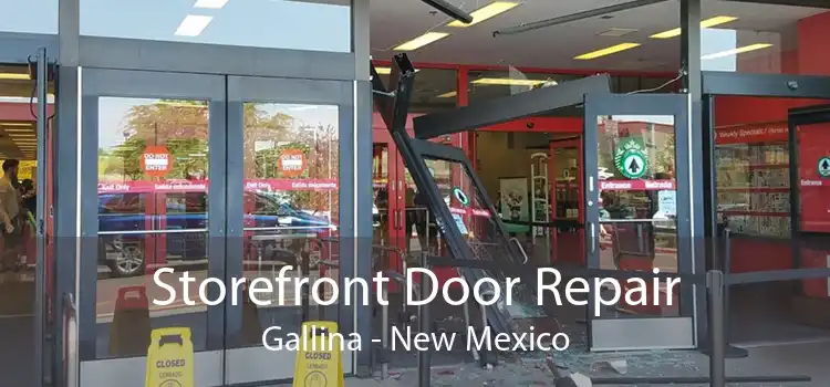 Storefront Door Repair Gallina - New Mexico