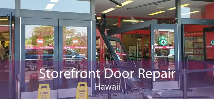Storefront Door Repair Hawaii