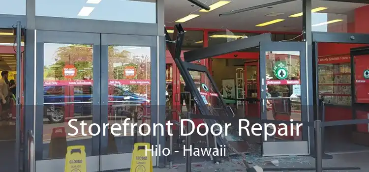 Storefront Door Repair Hilo - Hawaii