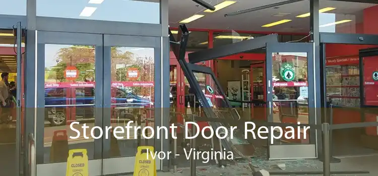 Storefront Door Repair Ivor - Virginia