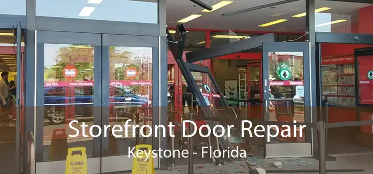 Storefront Door Repair Keystone - Florida