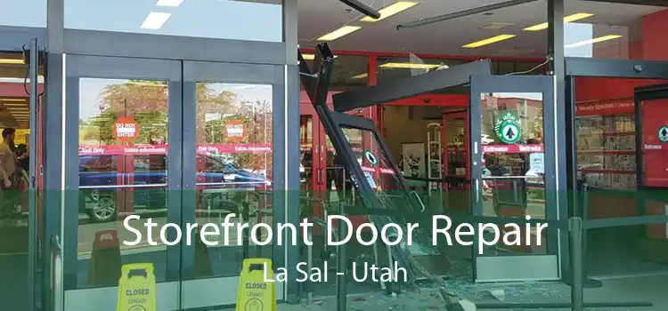 Storefront Door Repair La Sal - Utah