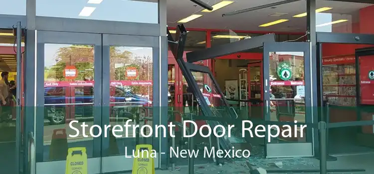 Storefront Door Repair Luna - New Mexico