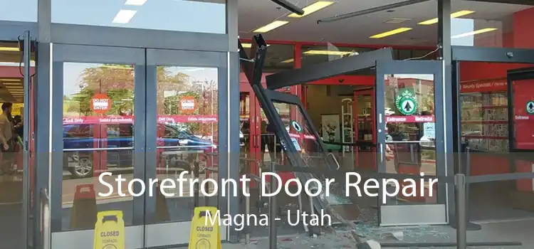 Storefront Door Repair Magna - Utah