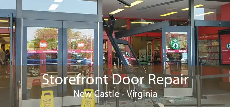 Storefront Door Repair New Castle - Virginia