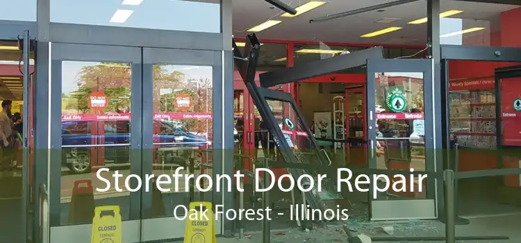 Storefront Door Repair Oak Forest - Illinois