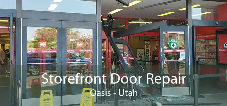 Storefront Door Repair Oasis - Utah