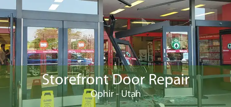 Storefront Door Repair Ophir - Utah