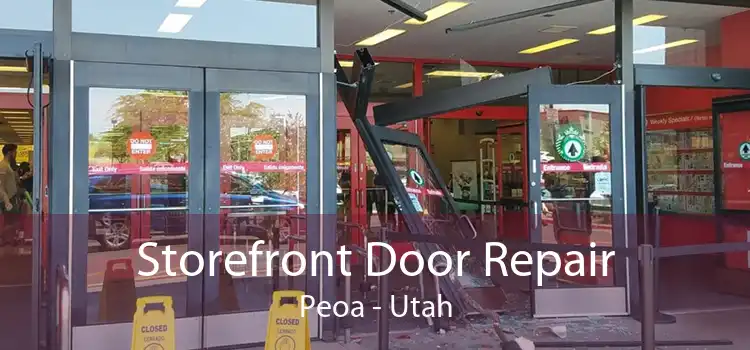 Storefront Door Repair Peoa - Utah