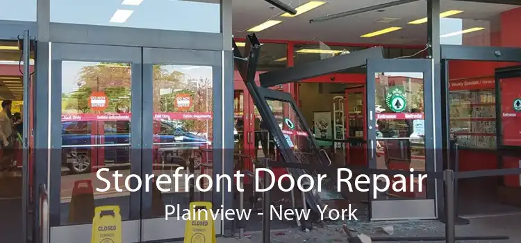 Storefront Door Repair Plainview - New York