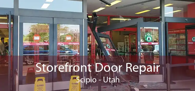 Storefront Door Repair Scipio - Utah
