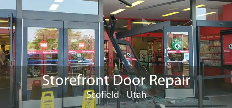 Storefront Door Repair Scofield - Utah