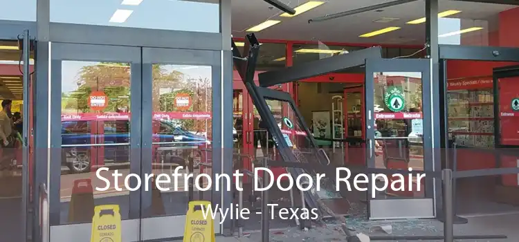 Storefront Door Repair Wylie - Texas