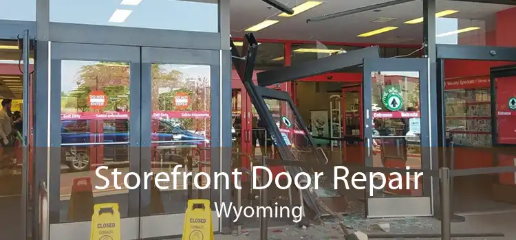 Storefront Door Repair Wyoming