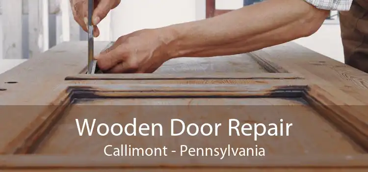 Wooden Door Repair Callimont - Pennsylvania