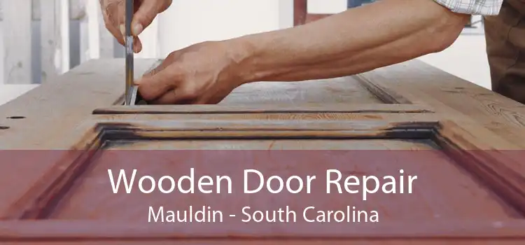 Wooden Door Repair Mauldin - South Carolina