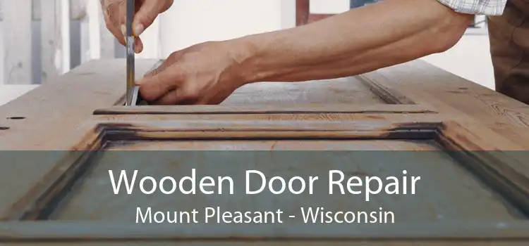 Wooden Door Repair Mount Pleasant - Wisconsin