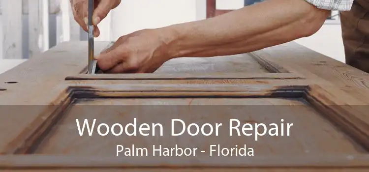 Wooden Door Repair Palm Harbor - Florida