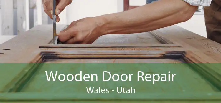 Wooden Door Repair Wales - Utah