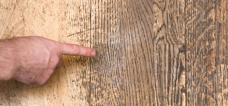 Wood Door Scratch Repair in Quail